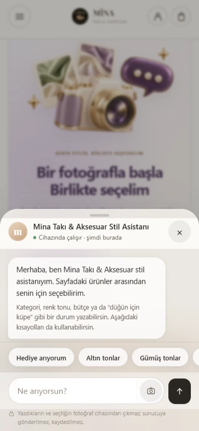 Gerçek arayüz: Stil asistanı